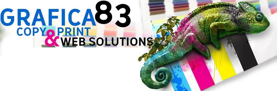 stampa digitale, web agency, tesi, rilegatura, seo, reggio calabria