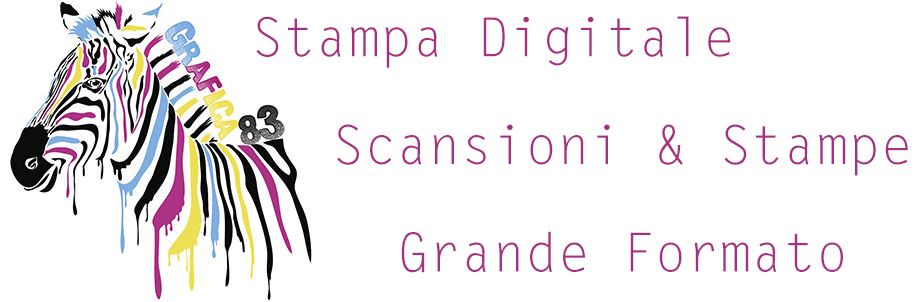 stampa digitale, web agency, tesi, rilegatura, seo, reggio calabria